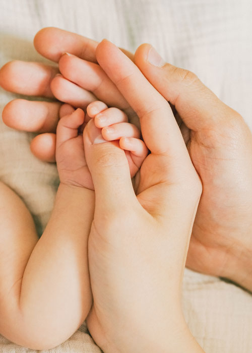 lien parent bebe premiers jours