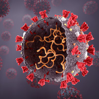 coronavirus en 3D