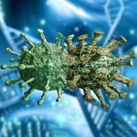 Mutation du coronavirus. Modification génétique du virus.