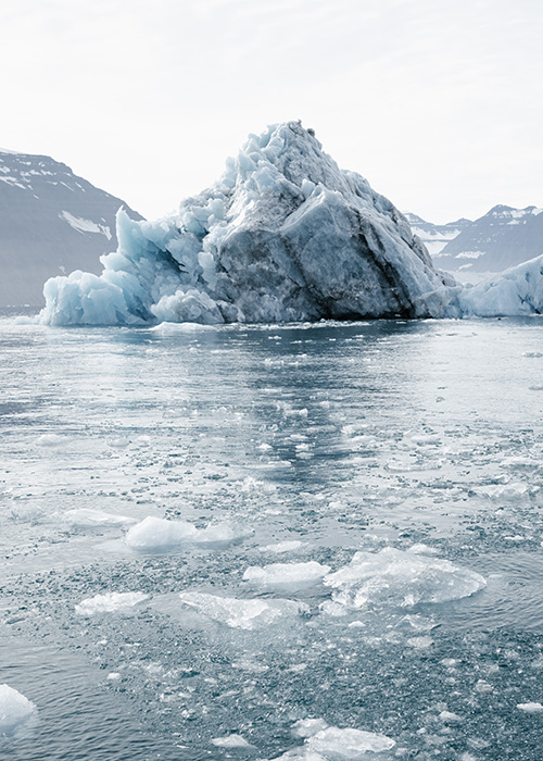 conséquences du rechauffement climatique sur la santé 